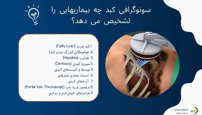 سونوگرافی کبد