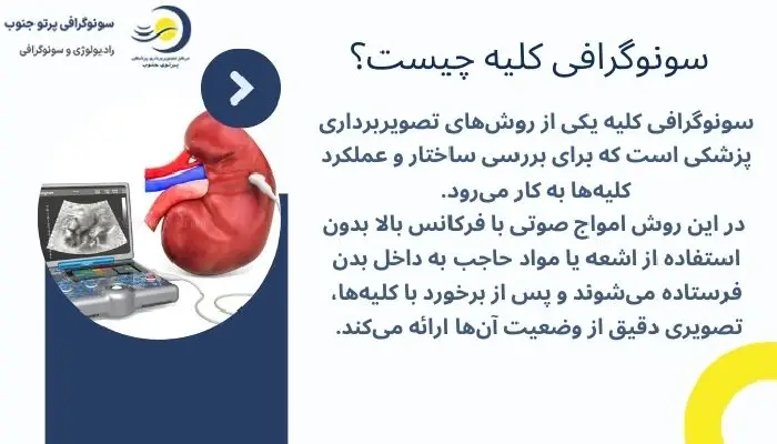 سونوگرافی کلیه