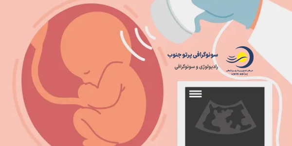 اکو قلب جنین